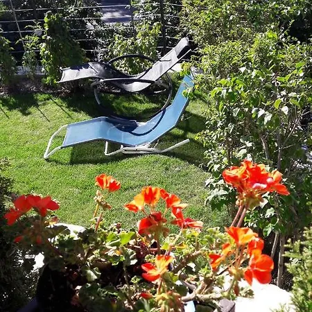 Les Loulou 2 Daire *