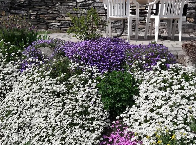 Апартаменты Les Loulou 2