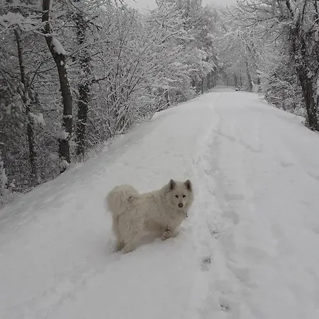 Διαμέρισμα Les Loulou 2 *
